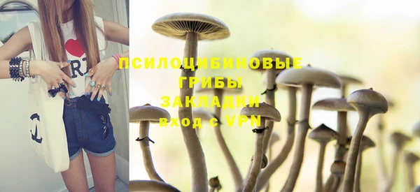 скорость mdpv Белокуриха